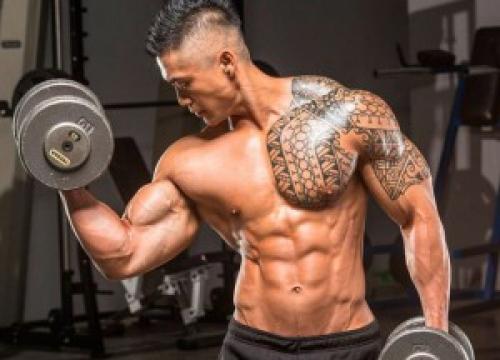 Анатомия бицепса руки и упражнения для него. Бицепс - упражнения, анатомия, особенности тренировки