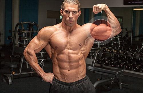 Анатомия бицепса руки и упражнения для него. Бицепс - упражнения, анатомия, особенности тренировки