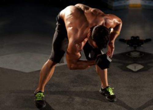 Анатомия бицепса руки и упражнения для него. Бицепс - упражнения, анатомия, особенности тренировки