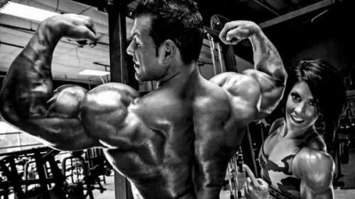 Какие мышцы лучше тренировать вместе и по, каким дням. Какие мышцы надо качать вместе