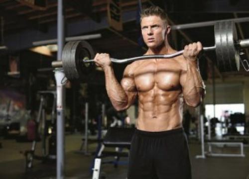 Анатомия бицепса руки и упражнения для него. Бицепс - упражнения, анатомия, особенности тренировки