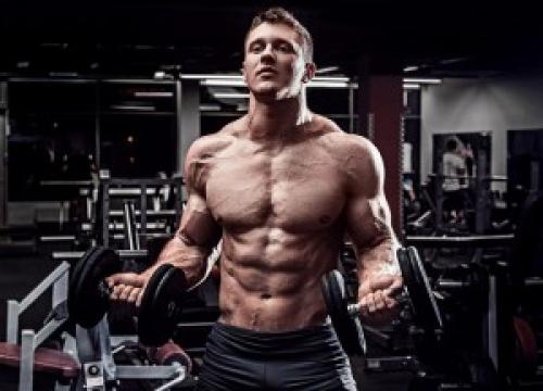 Анатомия бицепса руки и упражнения для него. Бицепс - упражнения, анатомия, особенности тренировки