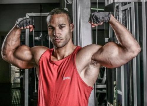 Анатомия бицепса руки и упражнения для него. Бицепс - упражнения, анатомия, особенности тренировки