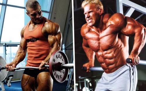 Какие мышцы нельзя качать вместе. Какие мышцы качать в один тренировочный день: ценные рекомендации