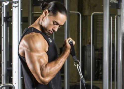 Анатомия бицепса руки и упражнения для него. Бицепс - упражнения, анатомия, особенности тренировки