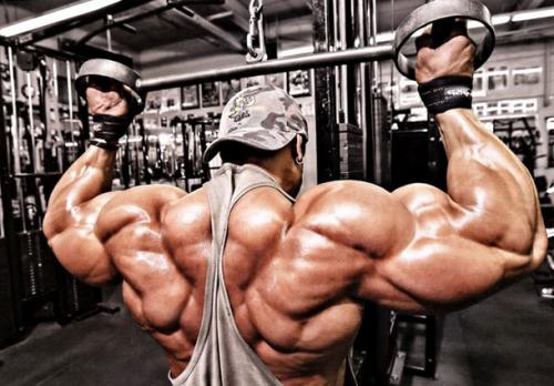 Какие мышцы нельзя качать вместе. Какие мышцы качать в один тренировочный день: ценные рекомендации