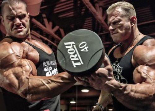 Анатомия бицепса руки и упражнения для него. Бицепс - упражнения, анатомия, особенности тренировки