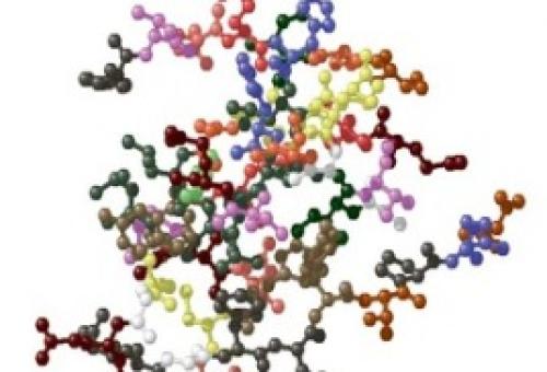 BCAA аминокислоты Лейцин изолейцин и валин. Великолепное трио: лейцин, изолейцин, валин