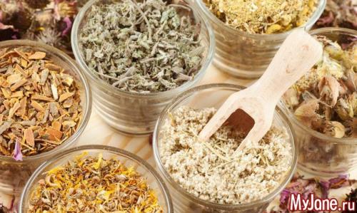 Адаптогены: травы для похудения и снятия стресса