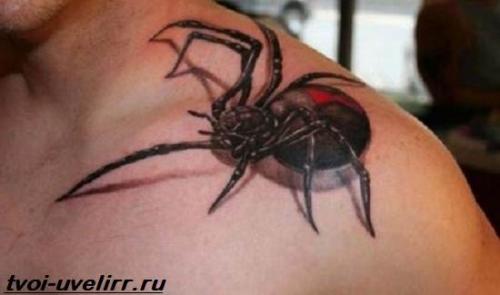 Тату на ключице и их значение. Тату на ключице. Значение тату на ключице. Эскизы и фото тату на ключице 07