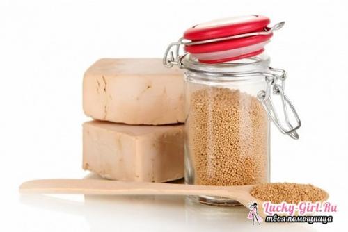 Сколько грамм в чайной ложке сухих дрожжей. Дрожжи – это, что такое?