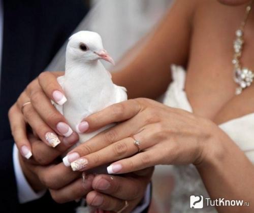 Как подобрать маникюр под платье определённого цвета. Как выбрать маникюр под конкретный цвет платья 13 Как подобрать маникюр под платье определённого цвета. Как выбрать маникюр под конкретный цвет платья 13