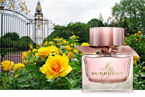 Модные женские духи. 13