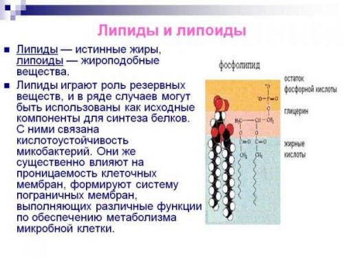 Лучшие крема для увлажнения кожи лица. 17 увлажняющих крема для лица: рейтинг лучших натуральных от косметологов