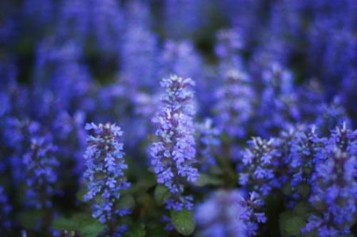 Как увлажнить кожу тела в домашних условиях. Увлажнение кожи на руках