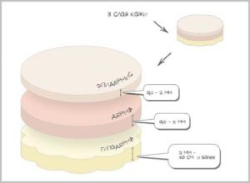 Чем отличается перманентный макияж от микроблейдинга бровей. Немного о микроблейдинге