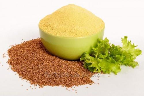 Маска из горчицы для жирных волос. Маска для жирных волос в домашних условиях: лечение жирности у корней и на концах, народные средства с горчицей, травы, сода, дегтярное мыло, отвары, глина, уксус