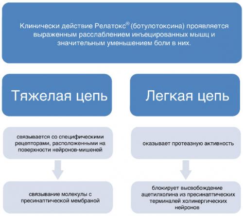 Альтернатива ботоксу и диспорту. Обзор и описание аналогов 01 Альтернатива ботоксу и диспорту. Обзор и описание аналогов 01