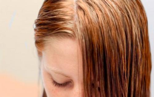 Маска из горчицы для жирных волос. Маска для жирных волос в домашних условиях: лечение жирности у корней и на концах, народные средства с горчицей, травы, сода, дегтярное мыло, отвары, глина, уксус