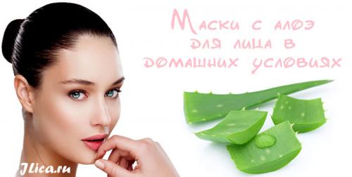Маски с алоэ для лица от морщин в домашних условиях. Чем полезен алоэ для кожи лица? 02