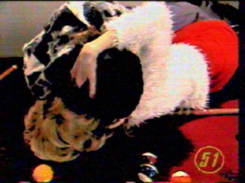 Алиса Шер и Нагиев причина развода. Дмитрий Нагиев и Алиса Шер