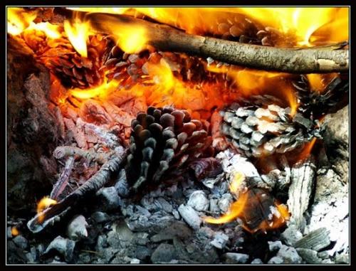 Как сделать волшебную палочку. Как сделать настоящую волшебную палочку для занятий Магией, колдовством и волшебством. Способ изготовления магической волшебной палочки – подробное описание изготовления и применения этого колдовского предмета