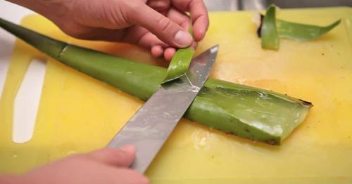 Алоэ вера для лица. Польза от применения масок с алоэ