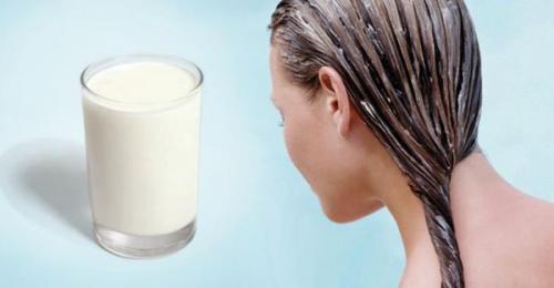 Маска для волос для жирных волос в домашних условиях. Меры предосторожности перед использованием 02