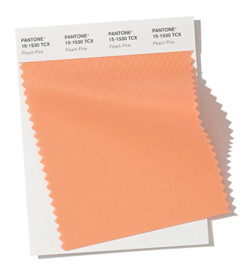 Цвет 2020 года по версии Pantone. Неделя моды в Нью-Йорке Осень / Зима 2019/2020