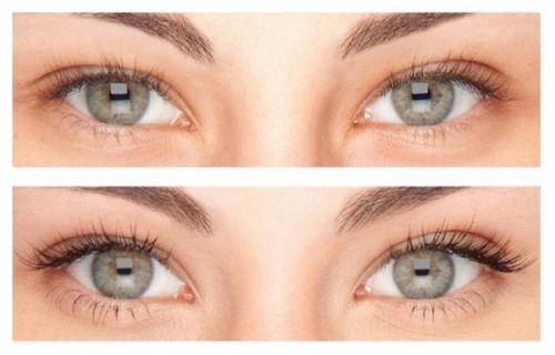 Что лучше репейное масло или касторовое для ресниц. Касторовое или репейное масло: какое лучше для укрепления ресниц и бровей 08