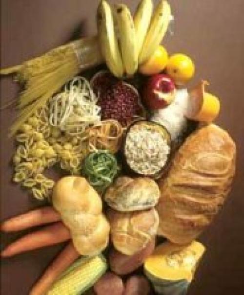 Ускорение анаболизма. Углеводы