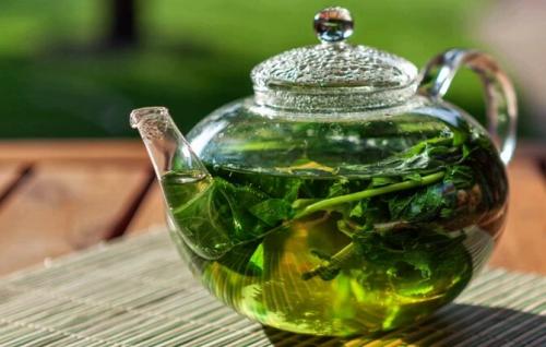 Самая полезная трава для организма человека. Какие травы можно заваривать вместо чая каждый день