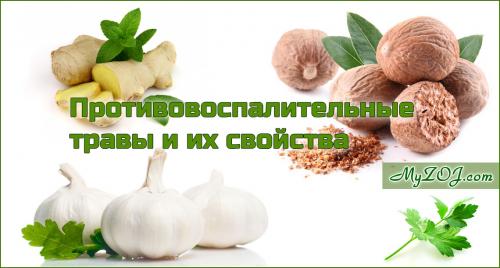 Травы от воспаления. Противовоспалительные растения