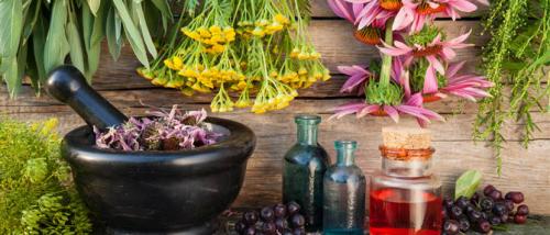 Самые полезные травы для мужчин. Насколько эффективны растения