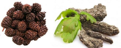 Противовоспалительные травы для суставов. Противовоспалительные травы для лечения суставов