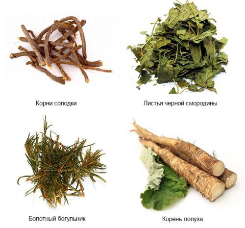 Противовоспалительные травы для суставов. Противовоспалительные травы для лечения суставов