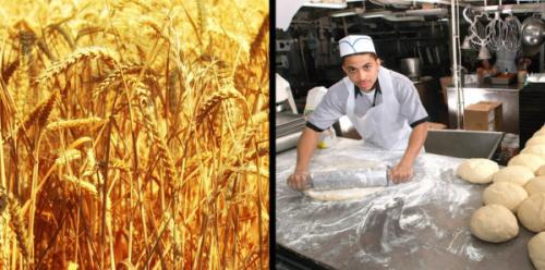 10 причин не есть хлеб. Что произойдет с вашим телом, если перестать есть хлеб