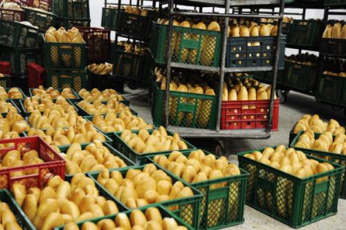 10 причин не есть хлеб. Что произойдет с вашим телом, если перестать есть хлеб