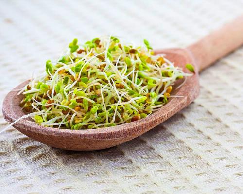 Что будет если отказаться от хлеба. Что произойдет с твоим телом, если ты перестанешь есть хлеб 23 Что будет если отказаться от хлеба. Что произойдет с твоим телом, если ты перестанешь есть хлеб 23