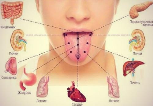 Диагностика по лицу аюрведа. Аюрведическая диагностика по языку (джихва)