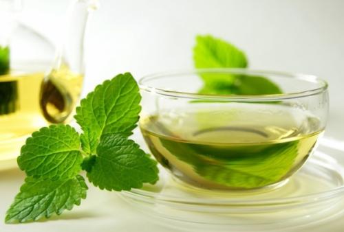 Мята перечная мелисса. Мята и мелисса – отличия 11 Мята перечная мелисса. Мята и мелисса – отличия 11