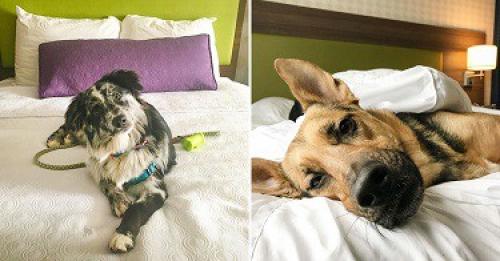 Если отказаться от хлеба, что будет. Что произойдет с твоим телом, если ты перестанешь есть хлеб