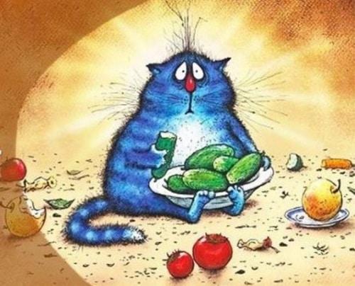 Как выдержать разгрузочный день. Как правильно провести и устроить?