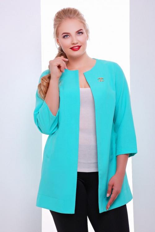 Жакет женский из драпа. Женский пиджак: создаём женственный образ к новому сезону. 77 фото мейнстрима этого и прошлого года