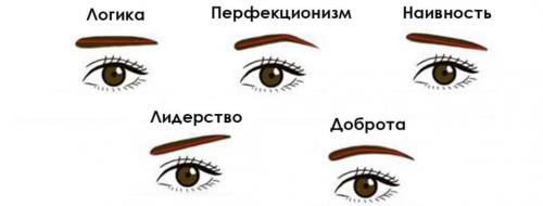 Какая часть лица по физиогномике отвечает за эмоции человека. Физиогномика: как трактовать характер человека по его лицу