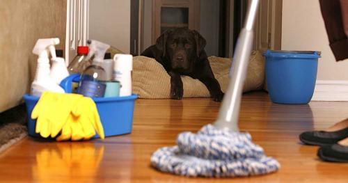 Что можно делать. Чем заняться дома когда скучно: 11 беспроигрышных идей для борьбы со скукой