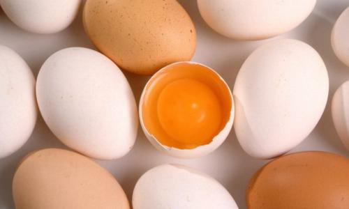 Куриные яйца состав. Куриные яйца. Их строение и химический состав