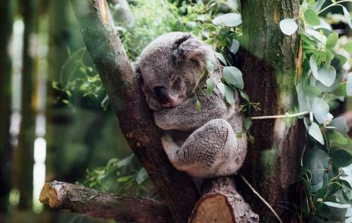 Что можно делать. Чем заняться дома когда скучно: 11 беспроигрышных идей для борьбы со скукой