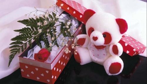 Как сделать девушке красивое тело. 12 эффективных упражнений, которые сделают вашу фигуру идеальной 03