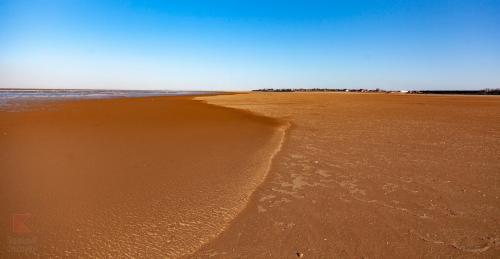 2019 год в каком цвете встречать. В каком цвете встречать Новый 2019 год 12